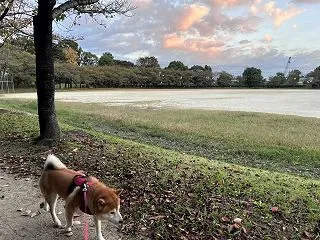 朝焼け♪