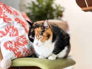 家族たち！！