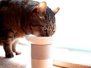 晴れたら窓辺