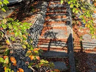 食欲の秋って誰が言い始めたん？