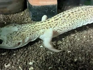 色々掃除と色々出現