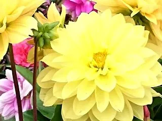 風が冷たく感じた昼下がり & #…