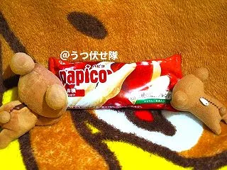 シャーベットとは違う