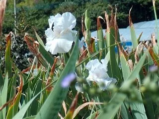 いつもきれい