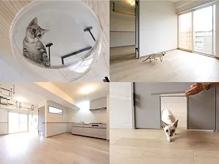 猫好き必見！築50年超のマンションを猫ち…