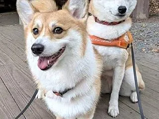 すっかり秋ですなぁ