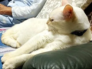 タクがいた所