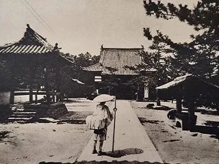 沼波式処世術