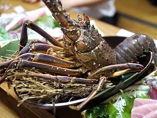 伊勢海老がドーン、宮崎牛もいただく宮崎の…