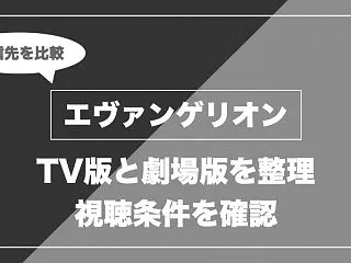 アニメ『新世紀エヴァンゲリオン』はどこで…
