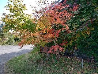 今日はお仕事