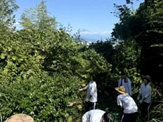 不登校だった子どもがどんどん元気になる！…