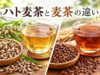 ハト麦茶と麦茶の違いは？原料・味・効果・…