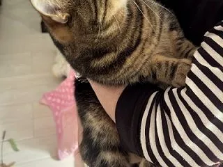 ばぁばが来たよ