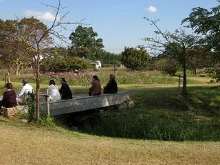花見る人たち