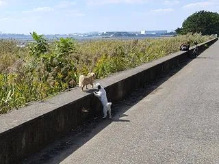 干潟で遊んだ後は…