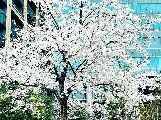 （２）AIは意識を持つか。 アンソロピッ…