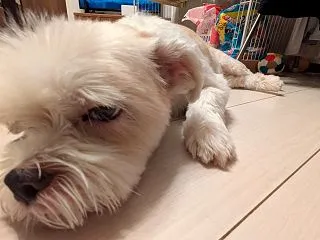 お疲れ様