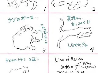 クロッキー365・ネコ科