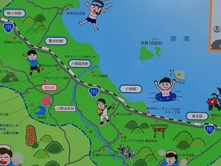 コスモスとホトトギス