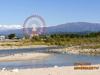 僧ヶ岳の紅葉が見える！ カモメの休息地を…