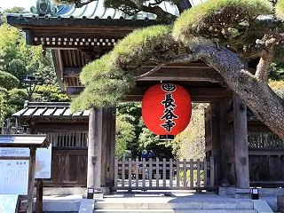 鎌倉散歩 長谷寺へ。