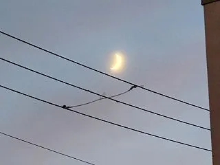 お見送り