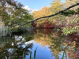 アンと秋の軽井沢