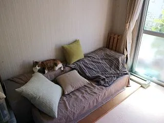 うずるり上と下
