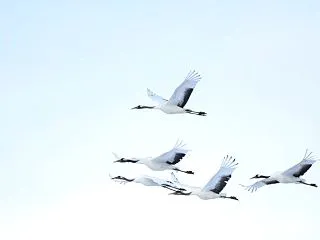 日通し取引の配信と前営業日の日通し取引結…