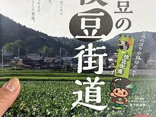 京丹波の黒豆枝豆、狩りに行ってきました