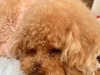 通院翌日