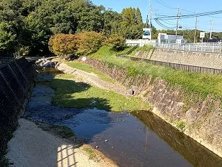 レッキしときます
