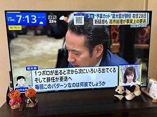 簗農水相、ようやく更迭へ