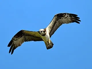 河川敷の様子を見に行きました！