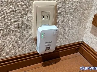 保護猫兄妹がいてもおかにゃん家はマイペー…
