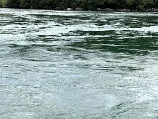 10月9日西海橋釣行〜トーフ