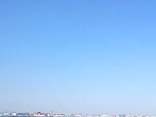 攻撃的な性格