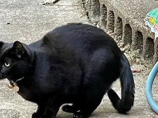 えっ！どうしたのジジィ