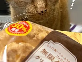 20キロの米にもケンティーにも負けた日