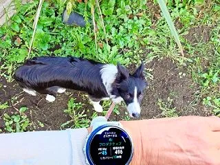 そこそろ涼しかった ＆ 母・妹とカリモク…