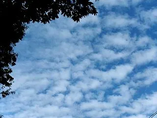 今日撮った雲
