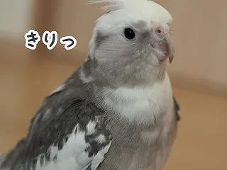クスィーのお気に入りの場所