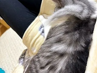 定位置認定◎