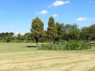「新横浜公園」は秋の花々がいっぱい！！