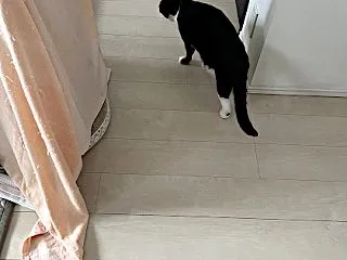 便秘で通院