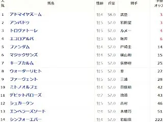 第29回 富士ステークス （GⅡ）