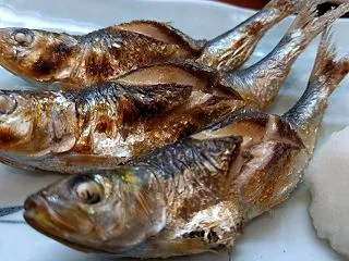源太、ｲﾋな町、まじめな、焼魚や刺身や小…