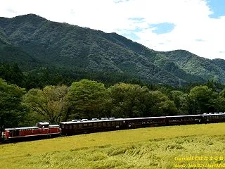黄金色の田園を行く国鉄形DL