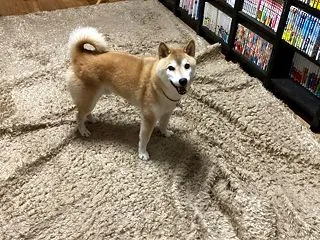 絶好調オトコ